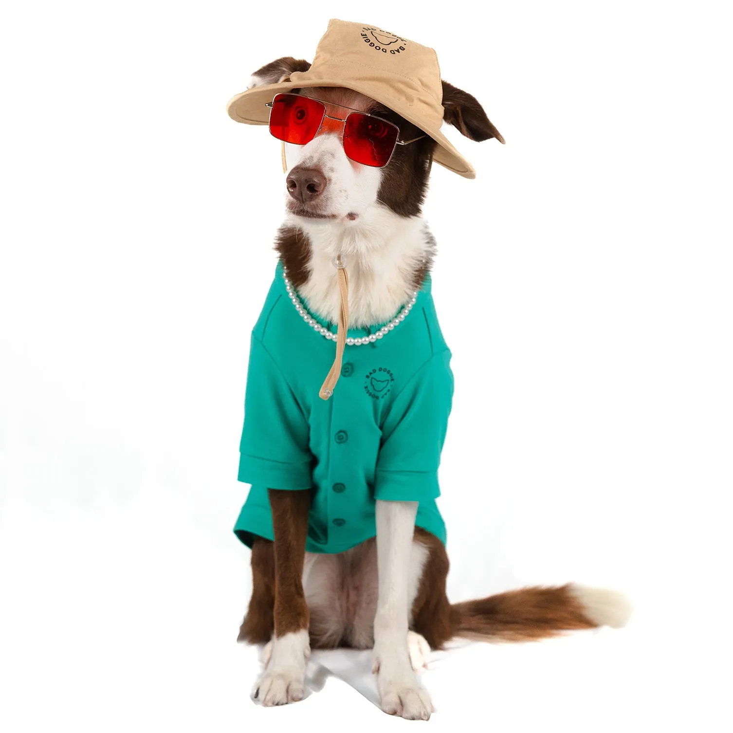 Bad Doggie | Halloween Pet Costume