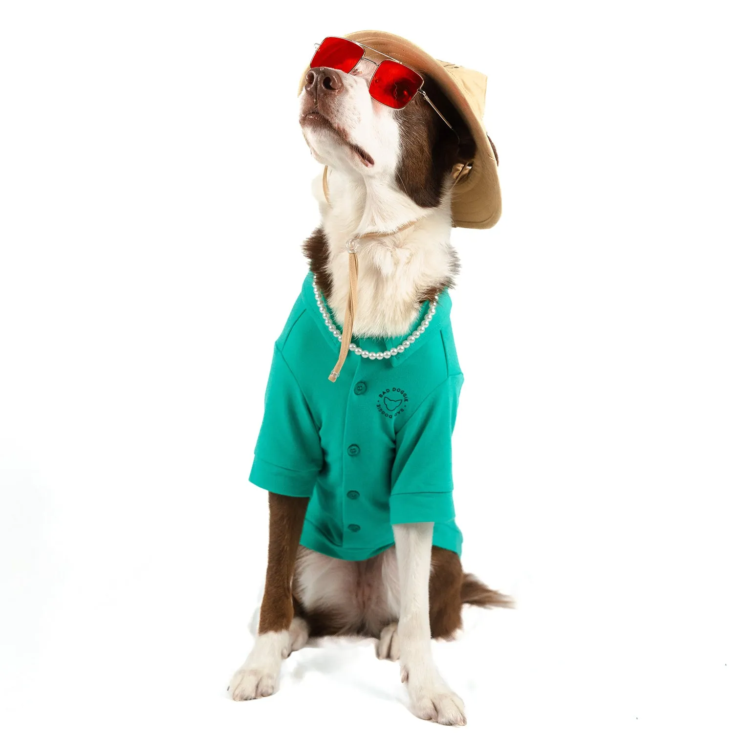 Bad Doggie | Halloween Pet Costume