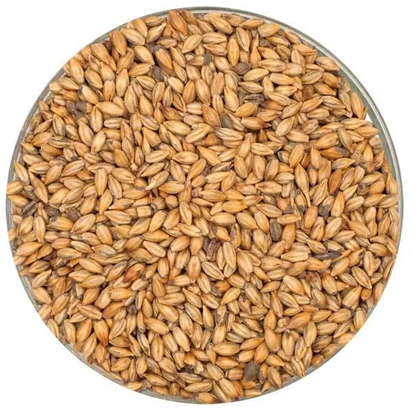 Crisp Amber Malt