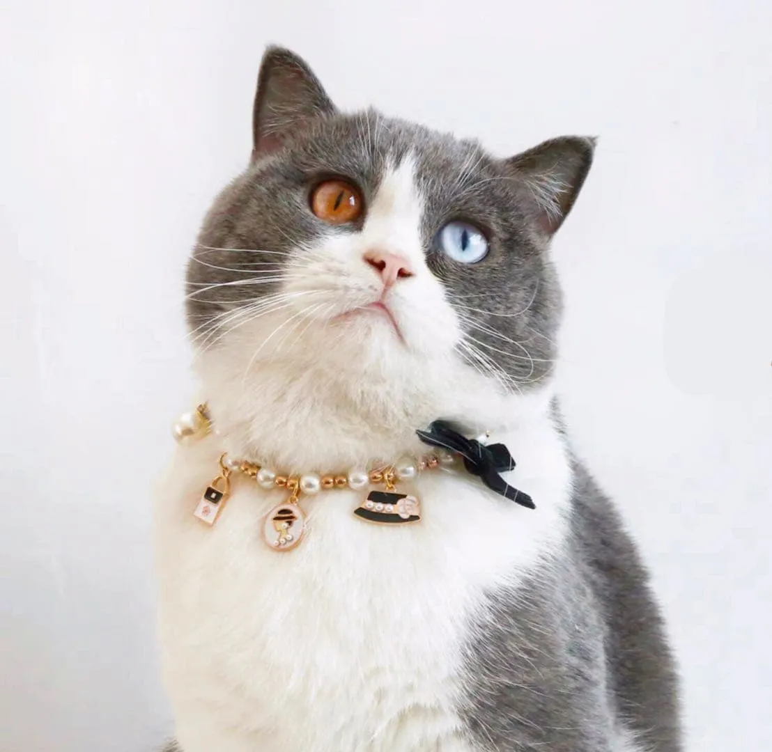 Cute Adjustable Pet Necklace Pet Collars