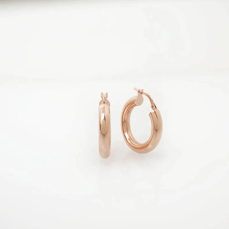 Hoop Earrings Hollow 14k