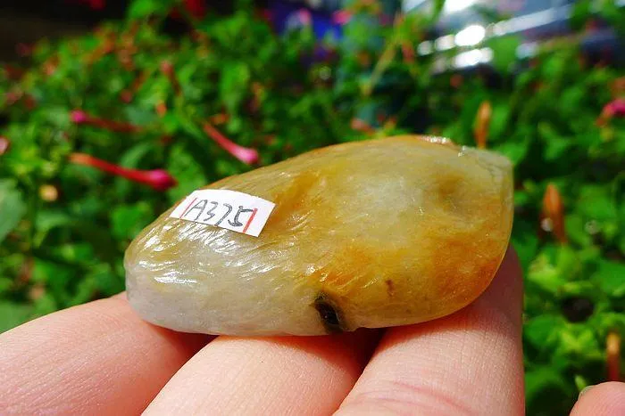 Natural Jade Rough Jadeite Raw (60g,6X3.6X1.6cm)