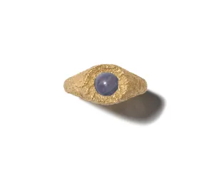 Self Involved Signet Ring, Gritty with Blue Greenland Ruby